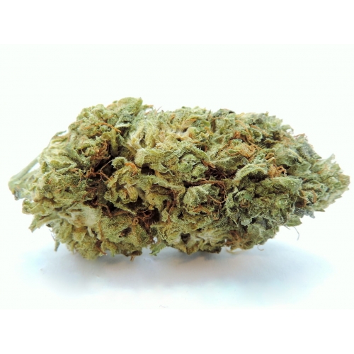 VANILLA KUSH Fleur de CBD