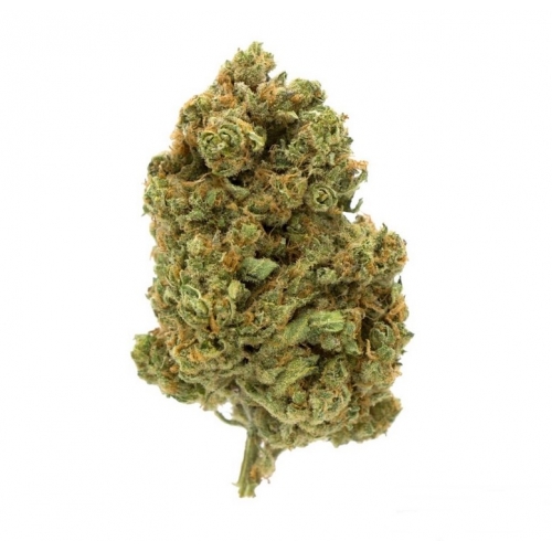 BANANA MOON Fleur de CBD