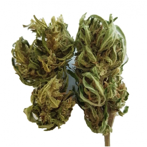 FEDTONIC Fleur de CBD