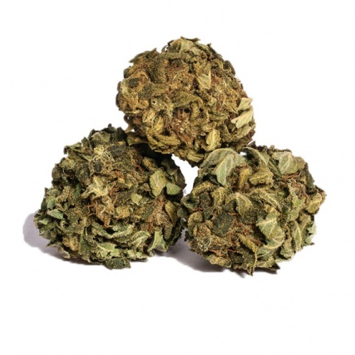 MANGO KUSH Fleur de CBD
